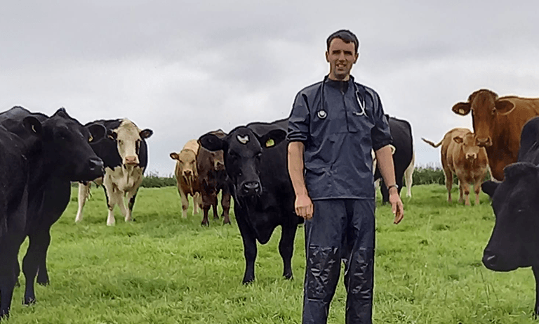 Devon farm vet wins top BVA accolade Image