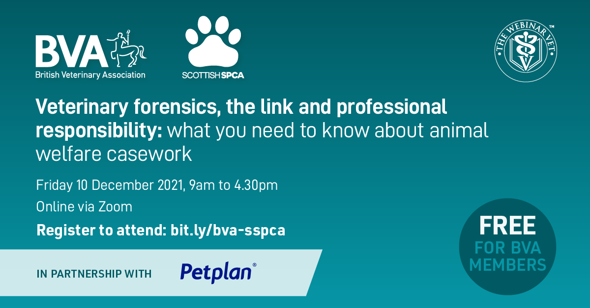 Empowering you to support animal welfare investigations – why you should register to attend the BVA and Scottish SPCA virtual conference Image