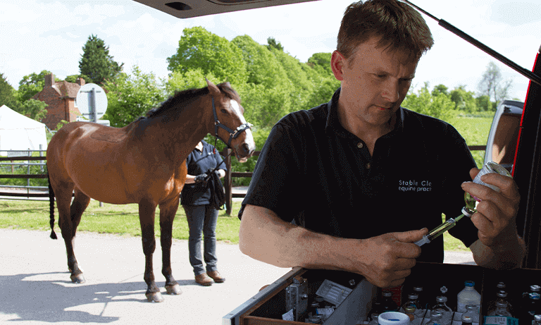 Antimicrobial stewardship in equine medicine Image