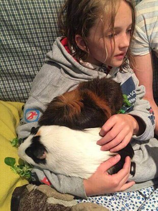 Malcolm Morley's daughter with two guinea pigs