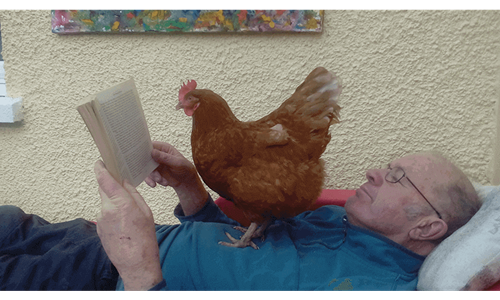 A chen sits upon a man's chest as he reads