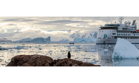 A penguin and a ship in an icy setting