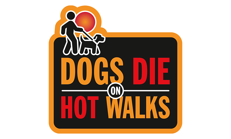 “If in doubt, don’t go out”- dog owners urged to rethink walks during hot weather Image