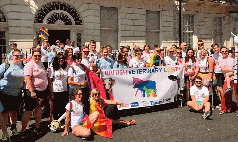 The importance of Pride in the veterinary profession Image