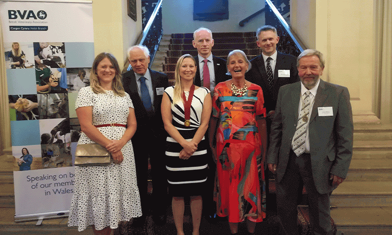 BVA President calls for urgent action to bolster veterinary capacity in Wales Image