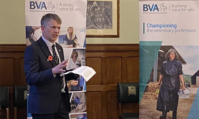 BVA urges cross-party collaboration on crucial animal welfare issues at Westminster event Image