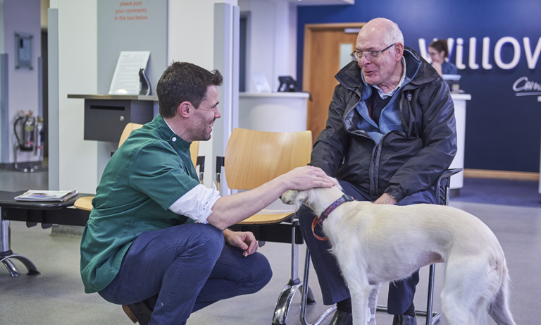 Launching the veterinary profession’s first antibiotic amnesty Image