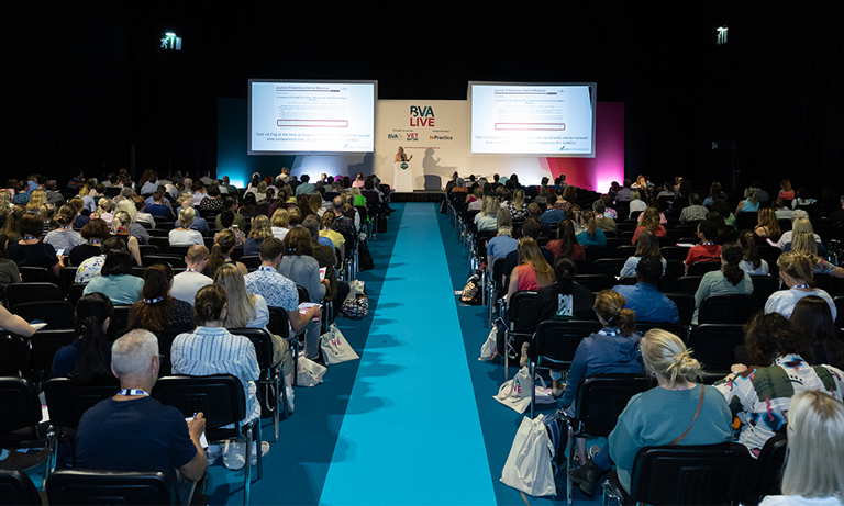 BVA Live: How critical is the gut microbiome to animal behaviour? Image