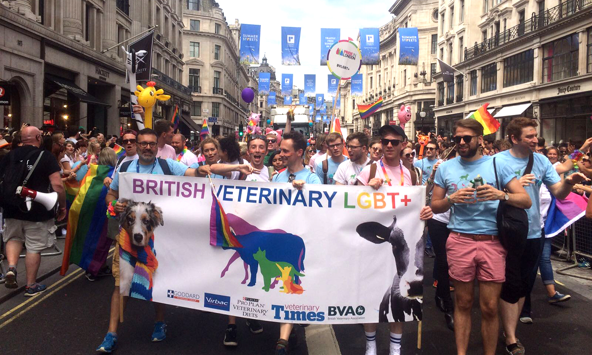 Everyone welcome: Building an inclusive veterinary profession Image