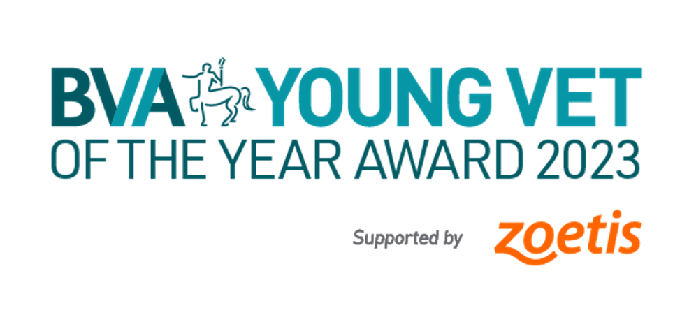 Search begins for BVA Young Vet of the Year 2023  Image