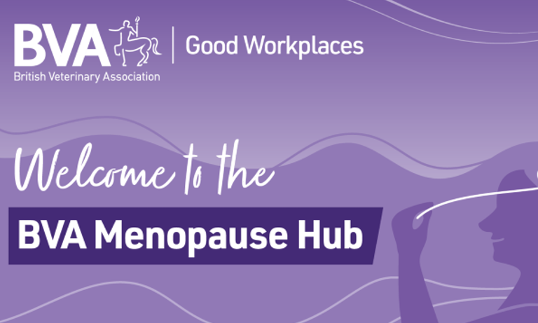 Why is supporting menopause important in the veterinary profession? Image