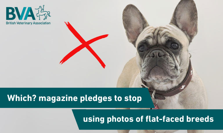 Which? Magazine pledges to stop using photos of flat-faced breeds     Image