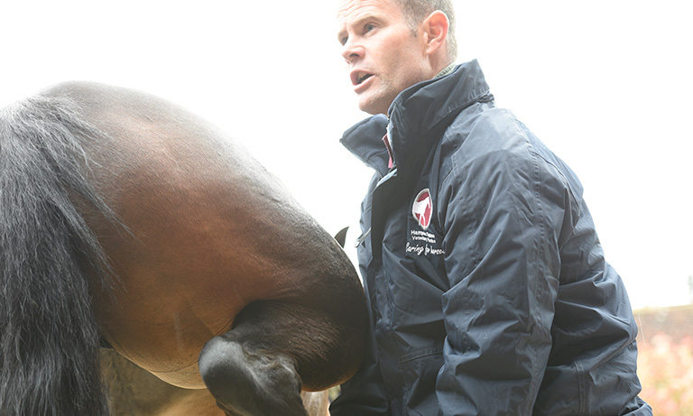 Cutting through the noise: ensuring the veterinary voice is heard Listing Image