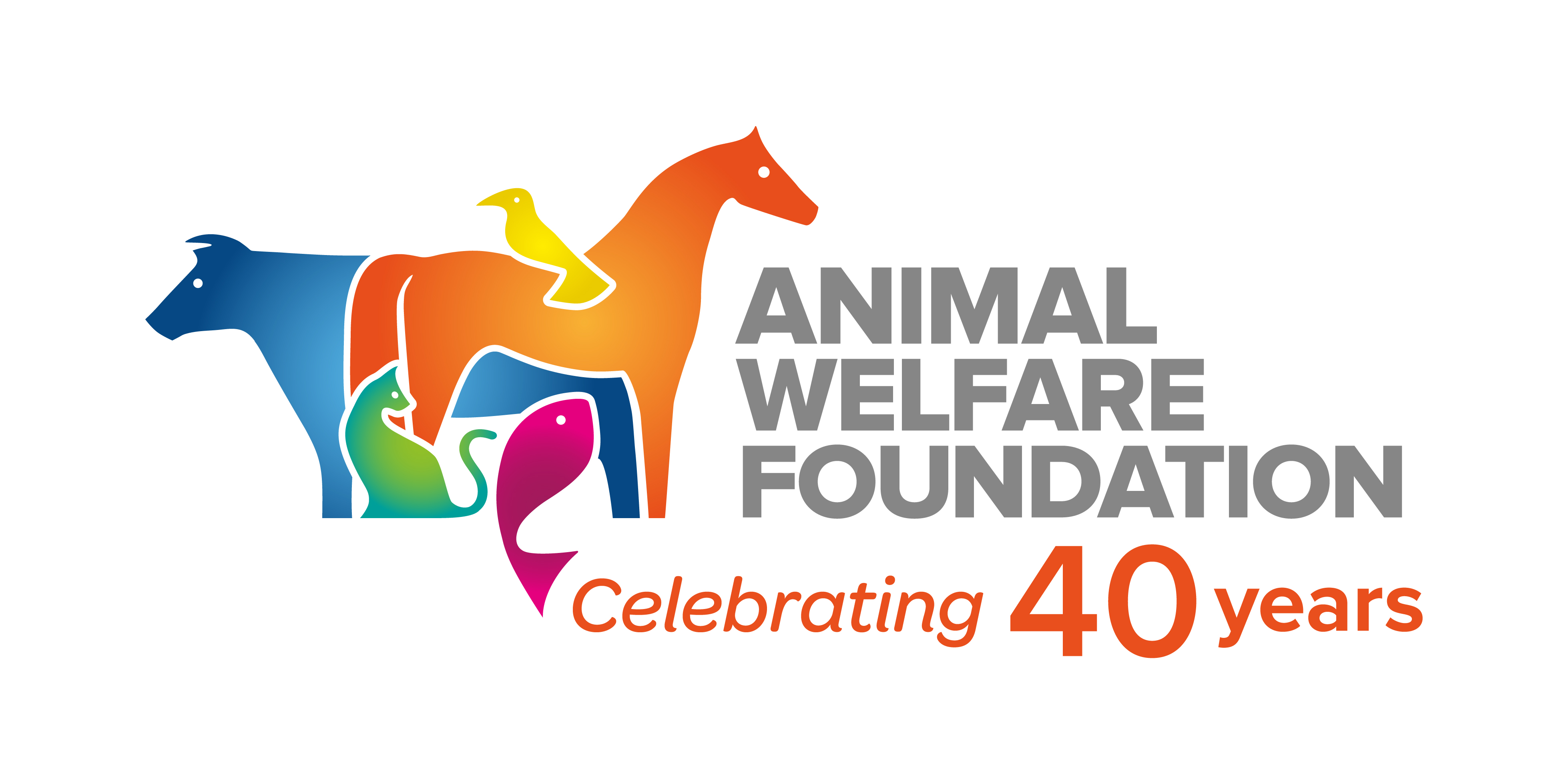 BVA charity to invest £10,000 in student animal welfare research projects