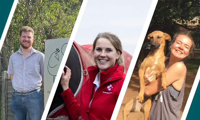 BVA Young Vet of the Year 2023 finalists revealed  Image