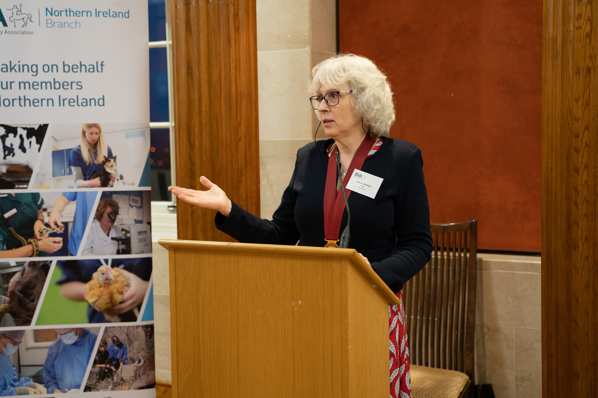 Permanent solution to access of vet medicines in Northern Ireland must be found Image