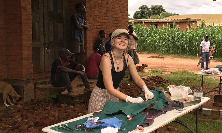 A young vet's impactful project in Malawi Image