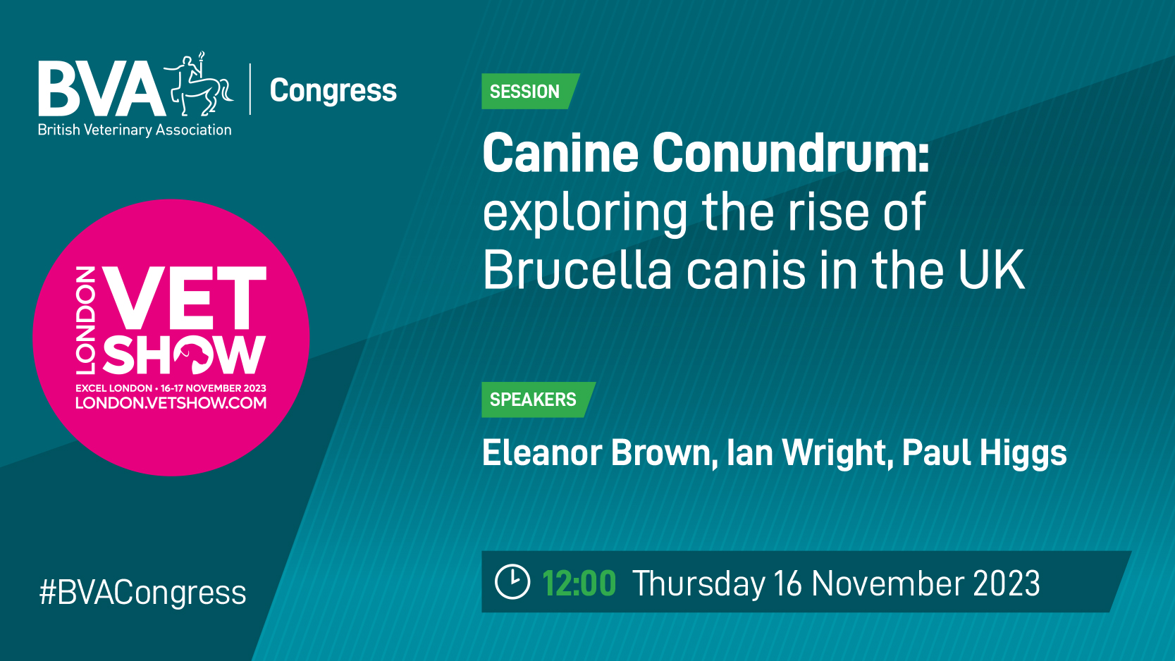 The Brucella canis conundrum: views from a practising vet Image