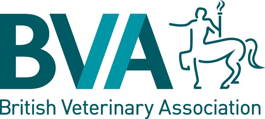 BVA responds to new report on harassment and abuse in English higher education  Image
