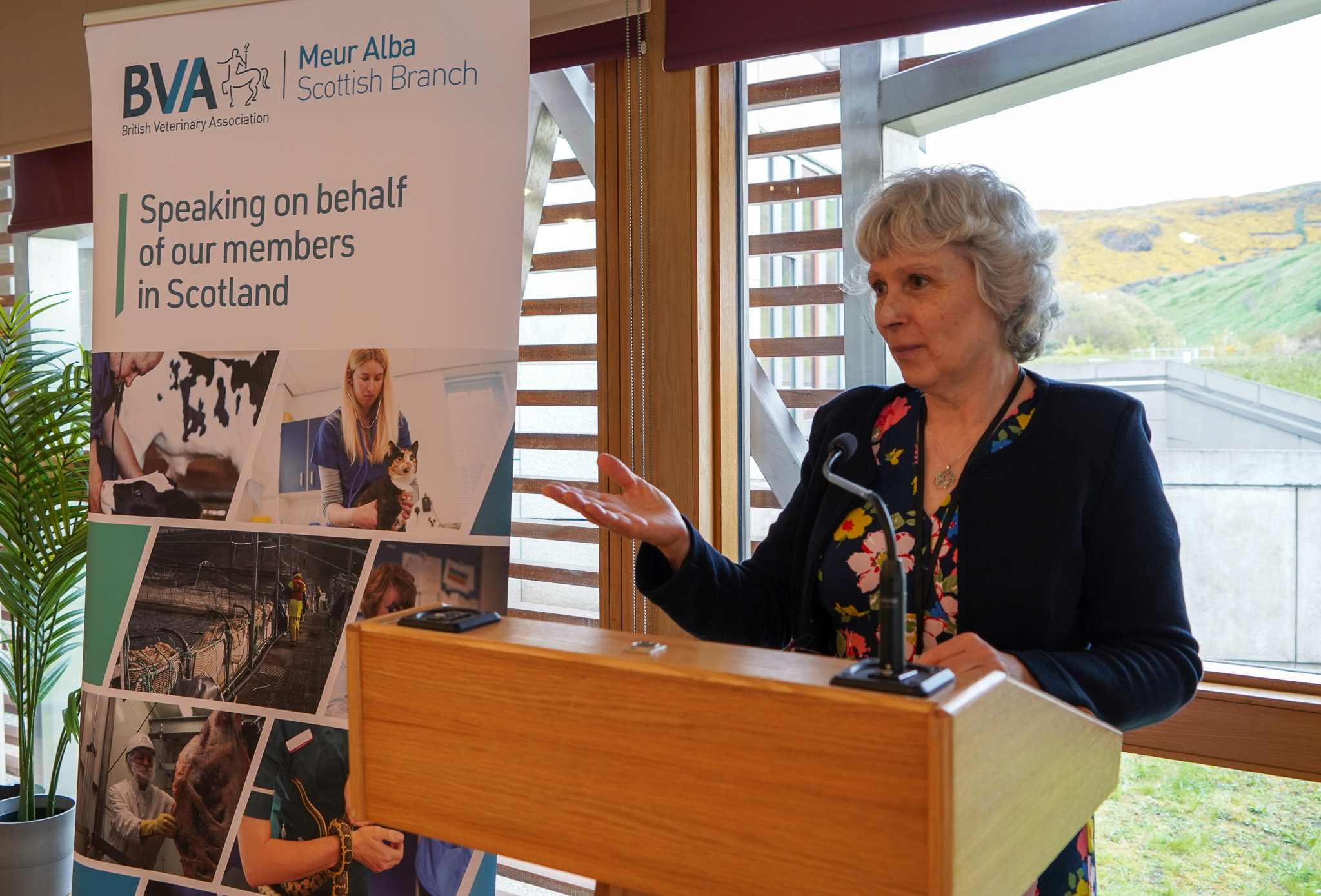 BVA President: Reform of Veterinary Surgeons Act necessary to support profession in challenging times Image