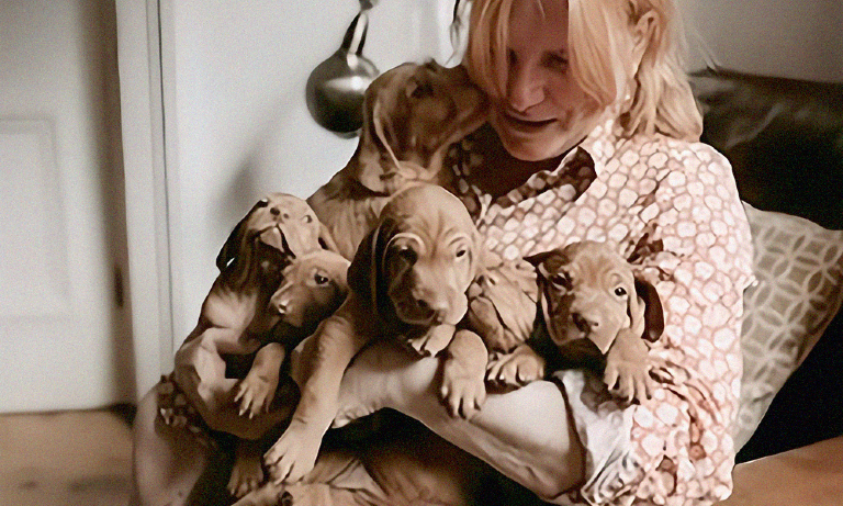 Encouraging UK vets to step into the dog fertility services gap Image