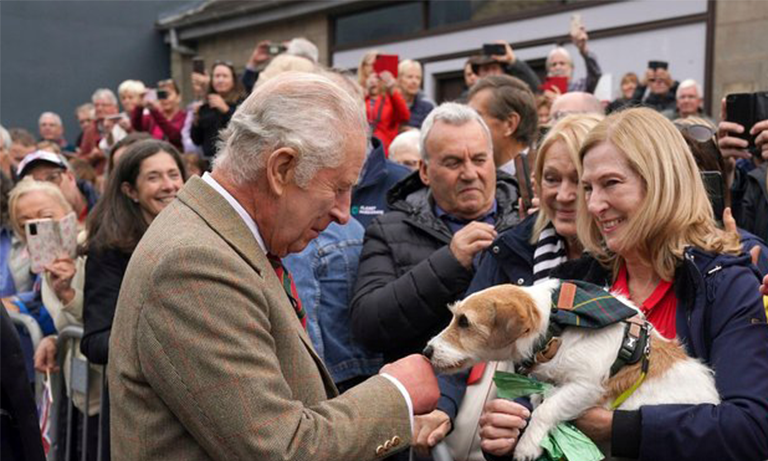 King Charles III confirmed as BVA Patron  Image