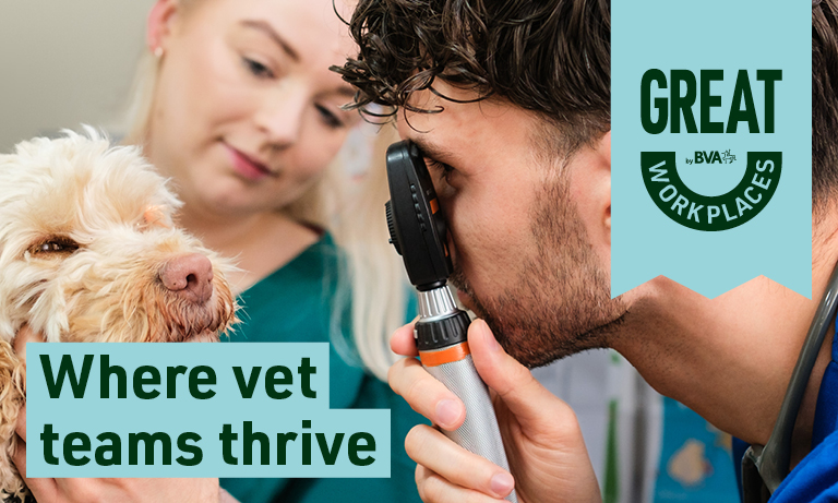 Scottish companion animal practice achieves Silver accreditation through new Great Workplaces by BVA scheme Image
