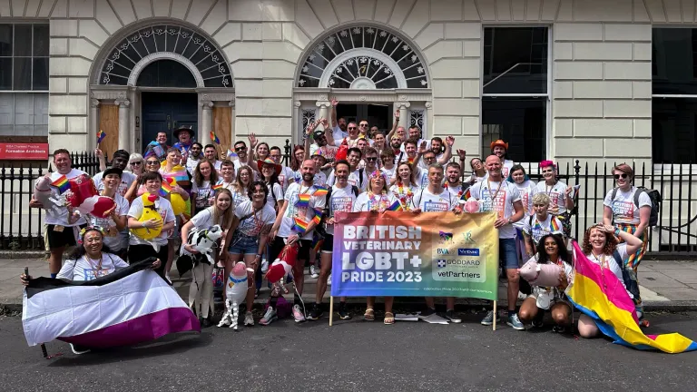Pride: using our collective power to build a more inclusive world Listing Image