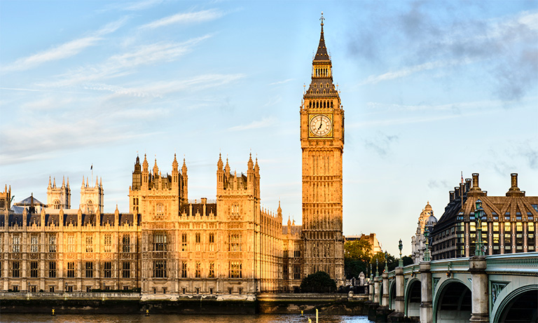 BVA calls on new Government to prioritise Veterinary Surgeons Act reform to enable it to deliver its manifesto commitments  Image
