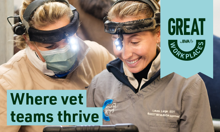 Great Workplaces: Raising the Bar (Elevating Skills, Culture, and Leadership) – a new webinar series from BVA and ManyPets  Image