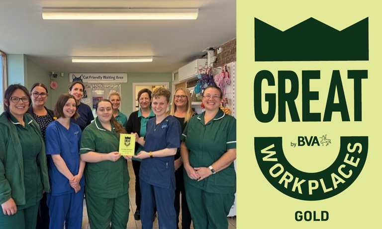 First veterinary practice awarded Gold accreditation through Great Workplaces by BVA scheme Listing Image