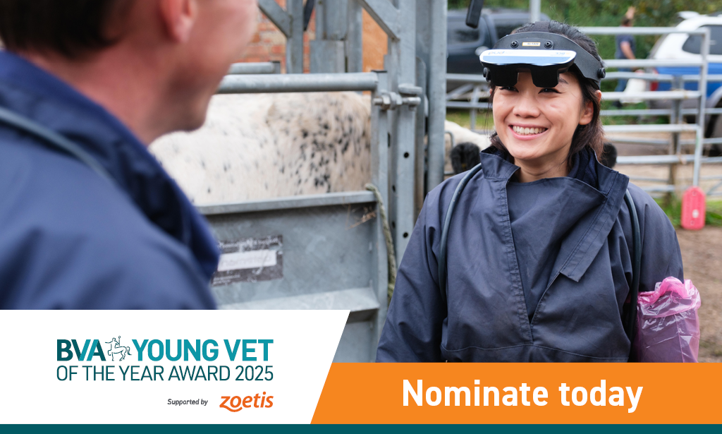 The search is on for the next BVA Young Vet of the Year Listing Image