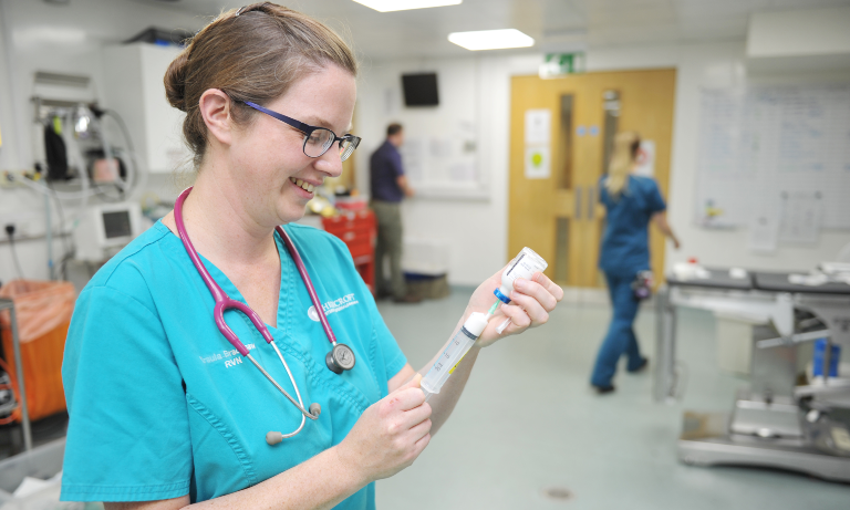 What care do RVNs provide when a pet visits a vet practice for surgery? Image