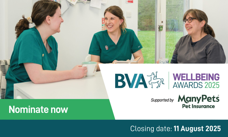 Nominations open for BVA Wellbeing Awards 2025  Image