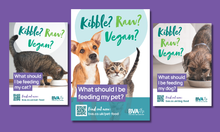 New BVA resource to support client conversations about cat and dog diets Image
