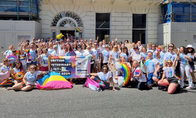 British Veterinary LGBT+ Society celebrates 10 years of supporting, campaigning and educating Image