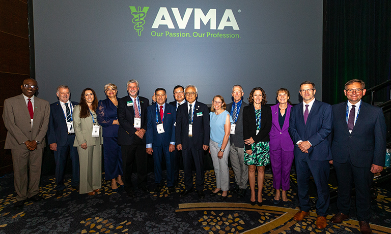 Going global: BVA’s international impact Listing Image