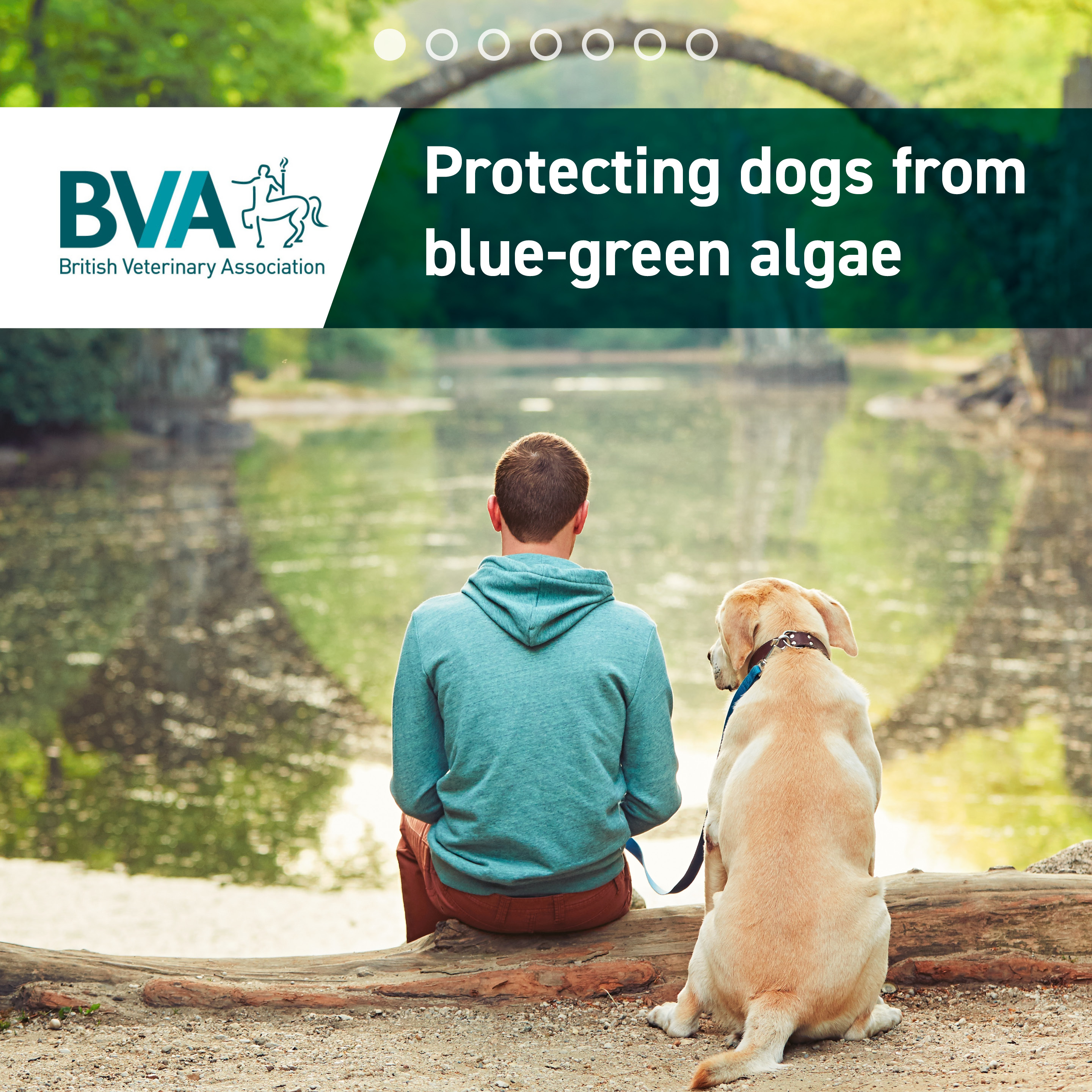 Blue-green algae resources Listing Image