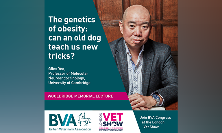 Cambridge professor and obesity expert Giles Yeo to headline BVA Congress 2025 Image