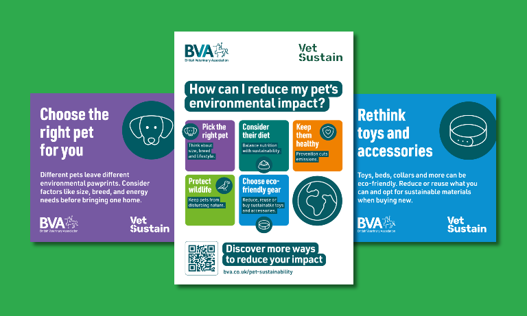 New resource to help vets support clients to cut their pet’s carbon pawprint Image