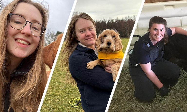 British Veterinary Association Young Vet of the Year 2025 finalists revealed   Image