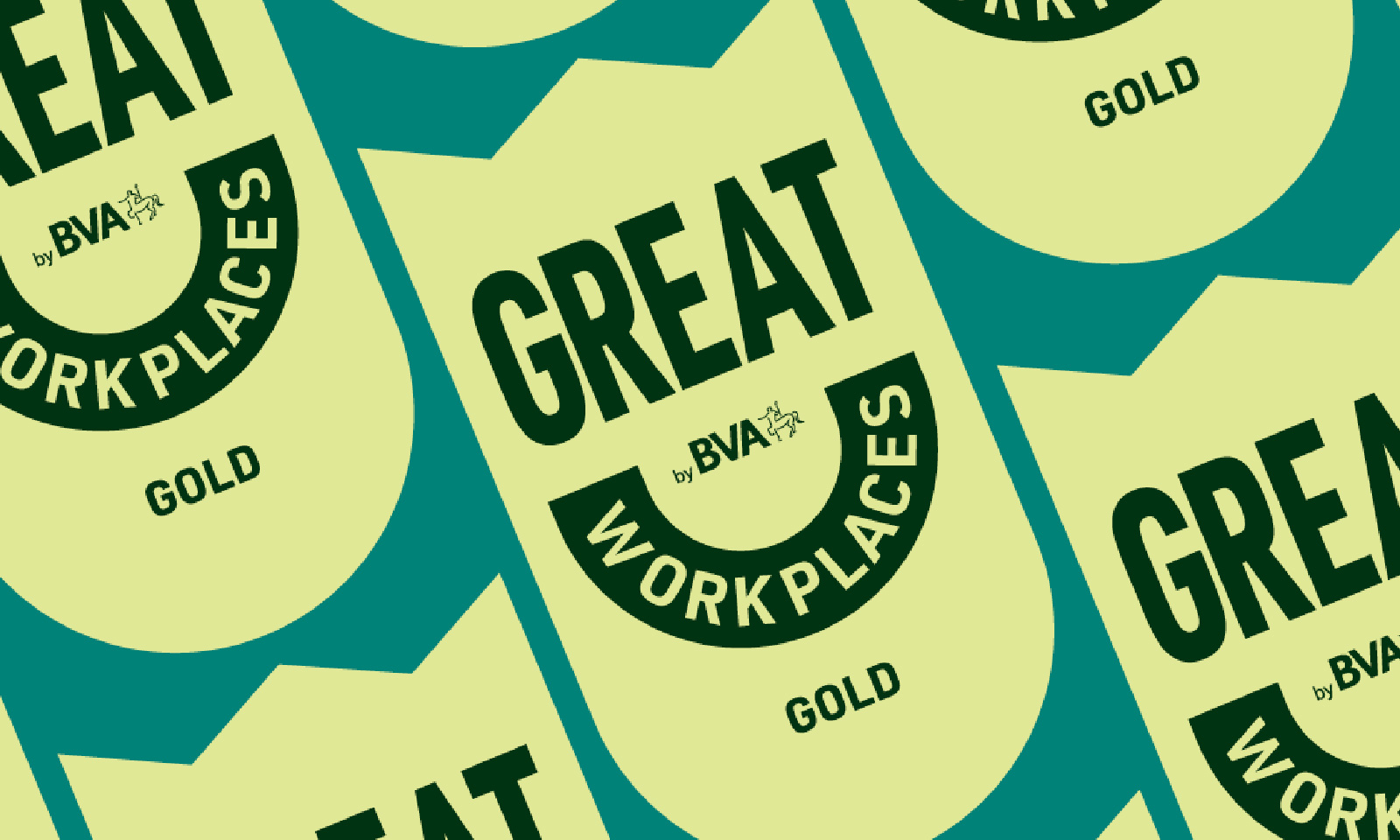 Veterinary wholesaler first non-clinical workplace to be awarded Great Workplaces by BVA ‘Gold’ accreditation  Image