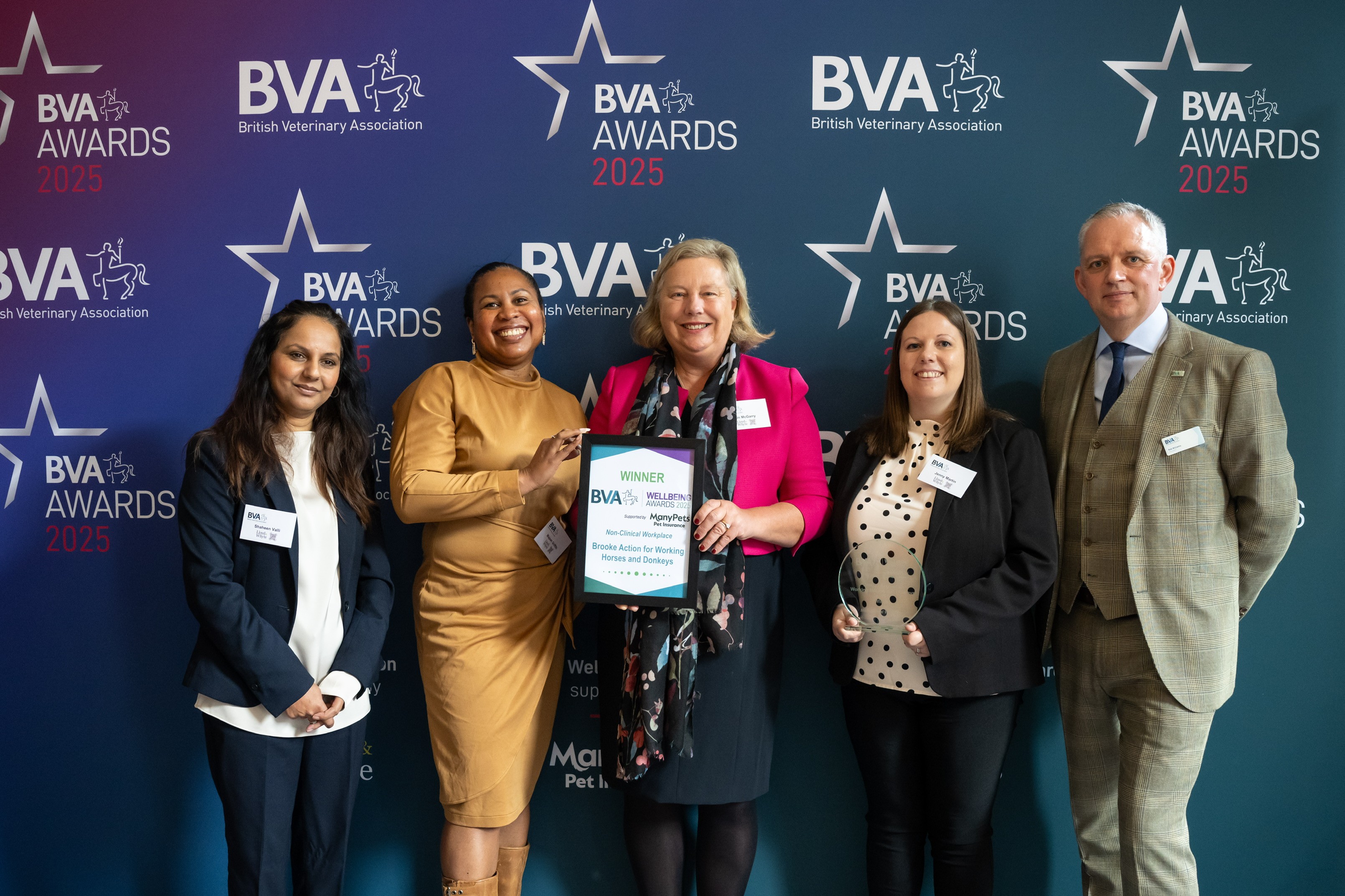 BVA Awards: Meet 2025's Wellbeing Award winners Listing Image