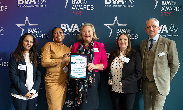 BVA Wellbeing Award winners for 2025 announced  Image