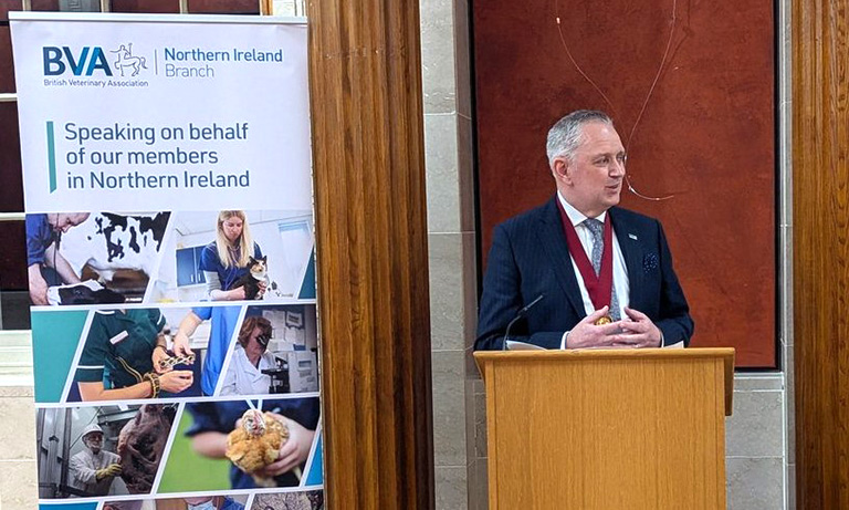 Calls for Northern Ireland vets to unite behind regulatory reform as Competition watchdog backs regulation of practices   Listing Image