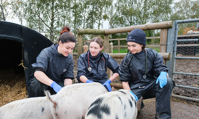 Future of Cambridge Vet School moving in right direction as conditional accreditation extended   Image