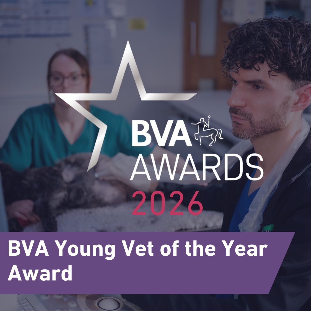 BVA Young Vet of the Year Image