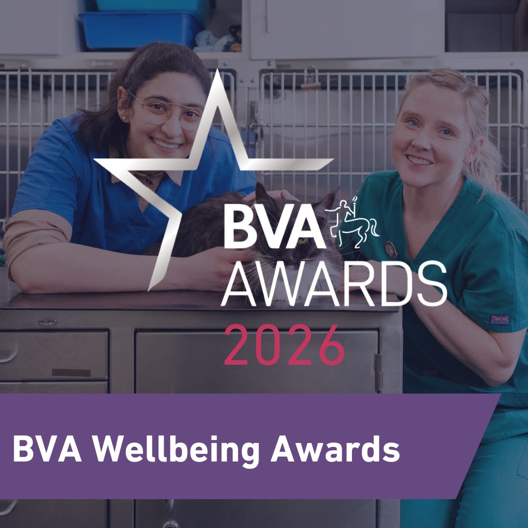 BVA Wellbeing Awards  Image