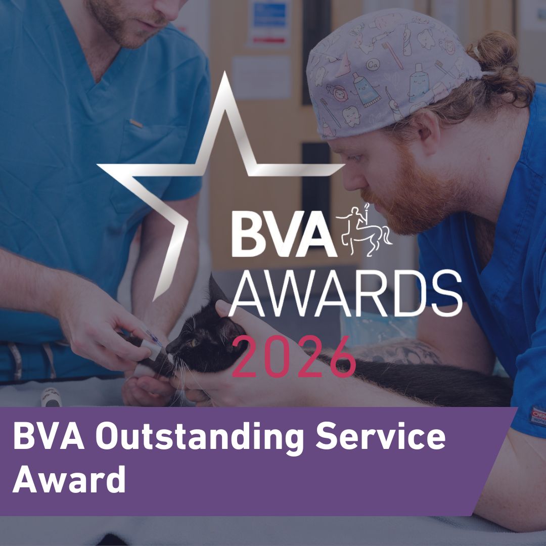 BVA Outstanding Service Award Image