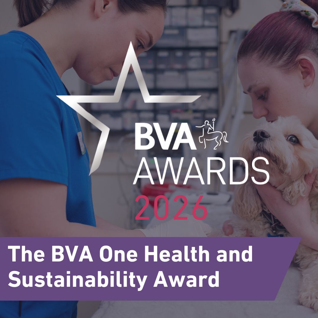 BVA One Health and Sustainability Award Image